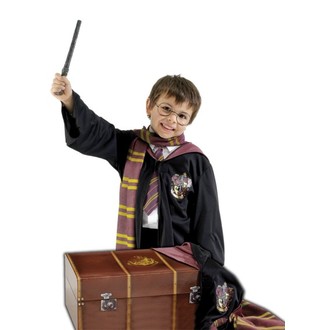 Kostýmy z filmů - Sada Kufr Harryho Pottera