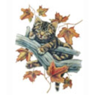 Zábavné předměty - Dětské tričko Kočka na větvi