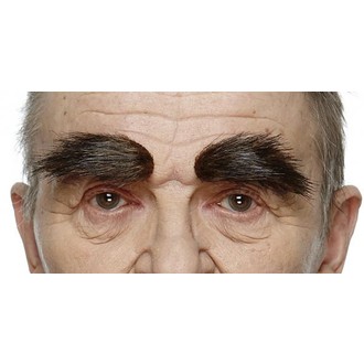 Doplňky na karneval - Obočí rezavošedé