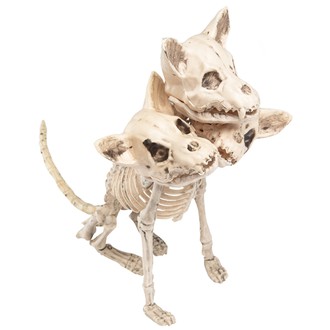 Halloween - Kostra trojhlavého psa