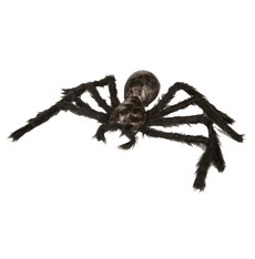 Chlupatý pavouk 58 cm